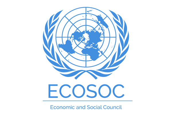 United Nations Economic and Social Council